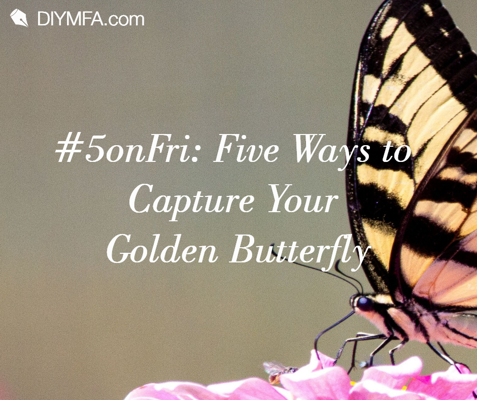 Title Image: Five Ways to Capture Your Golden Butterfly